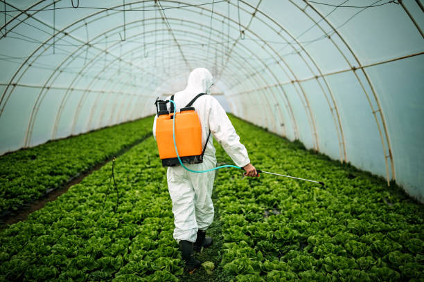 Best Best Pest Control Companies  in Kirbyville, TX