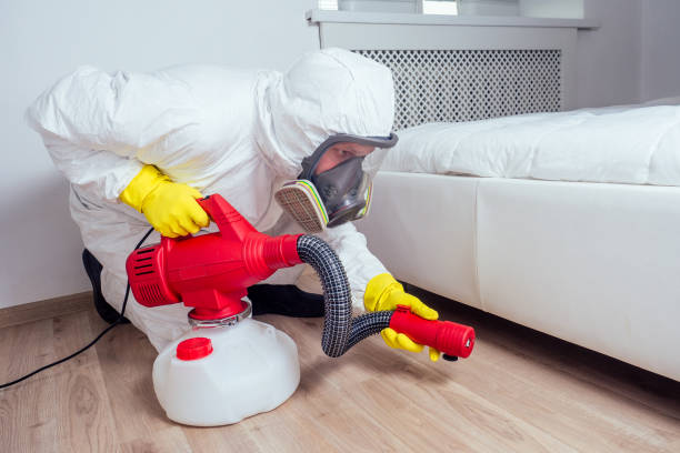 Best Pest Inspection Near Me  in Kirbyville, TX