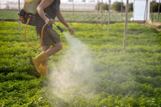 Best Wildlife Control Services  in Kirbyville, TX