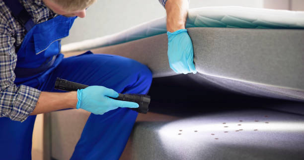 Best Insect Control  in Kirbyville, TX