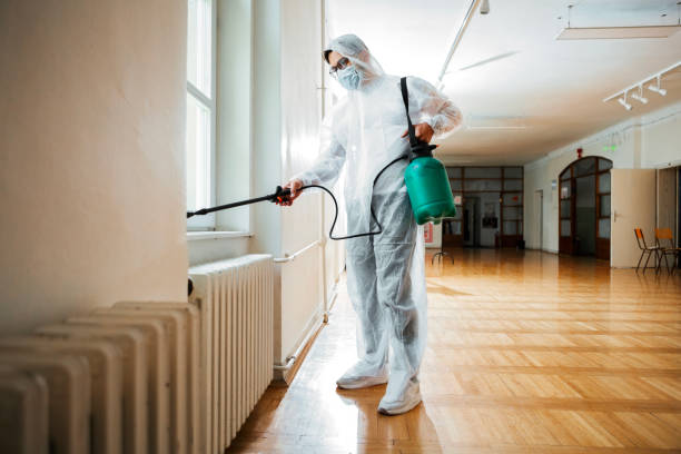 Best Pest Removal Services  in Kirbyville, TX