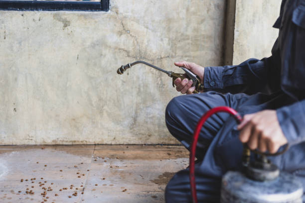 Best Pest Control for Businesses  in Kirbyville, TX